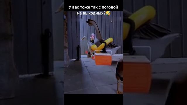 у вас так же с погодой на выходных? смотреть онлайн