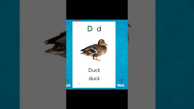 Читаем на английском языке целыми словами и учим название буквы D #shorts смотреть онлайн