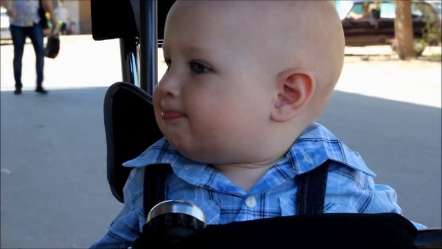 Мастер художественного свиста 2013 смотреть онлайн