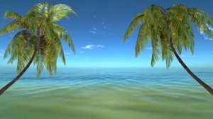 Красивые пальмы