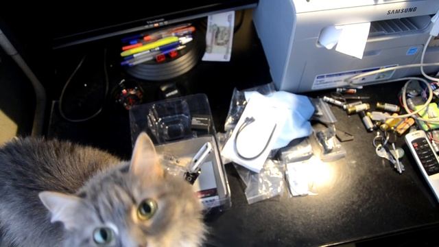 Кошка обозревает экшн-камеру sjcam sj-4000 смотреть онлайн