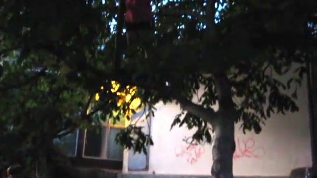 Прогулка 29.08.2016г. смотреть онлайн
