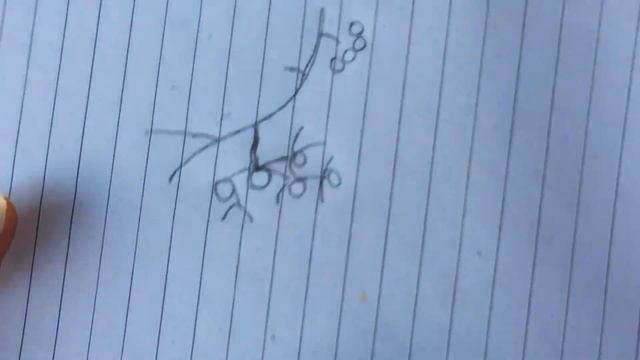 I LEARNT SOMETHING NEW ABOUT SUCCULENT ROOTS | SUCCULENT CARE TIPS смотреть онлайн