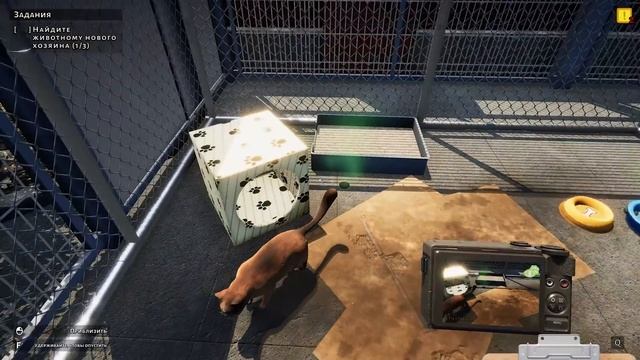 Приют для Кошек #3 Спасаю Бездомных животных в Animal Shelter Prologue. Клиника Кида на пурумчата смотреть онлайн