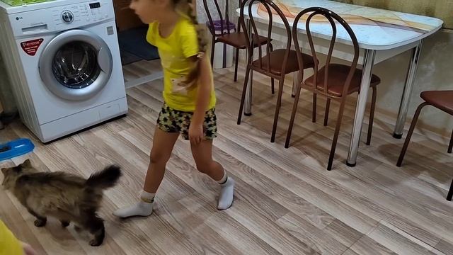 Заказала Мясо/Дров Натаскала, Печку Натопила/Вырезаю Вытыканки/14.12.22 смотреть онлайн