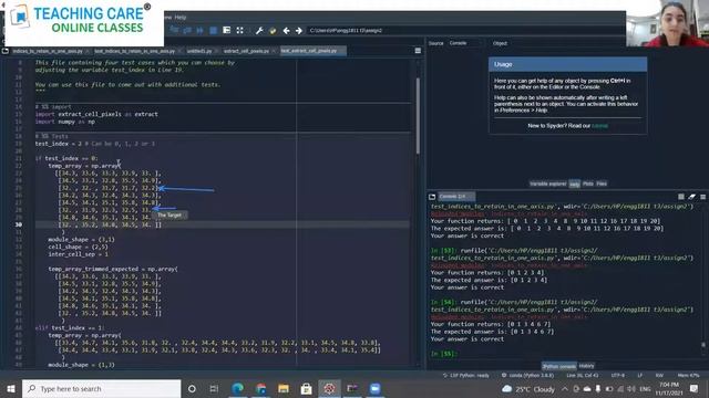 Python Coding Class by TEACHING CARE online classes смотреть онлайн