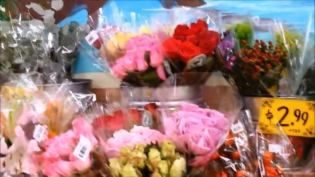 США: Видео Винегрет. Чуть-чуть жизни.