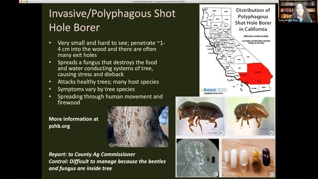 New Year New Pests: Invasive Pests in California, part 1 смотреть онлайн