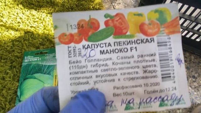 Посев капусты для рассады. 14 марта 2022