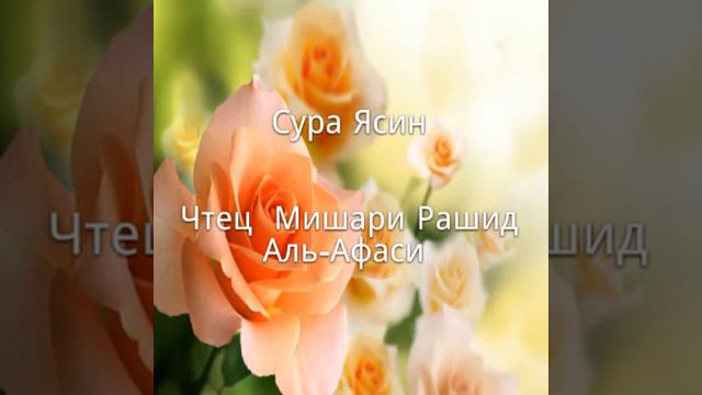СУРА ЯСИН.ЧТЕЦ МИШАРИ РАШИД смотреть онлайн