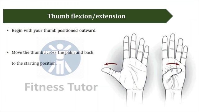 Hand and Finger Mobility Exercises - Part 1 смотреть онлайн