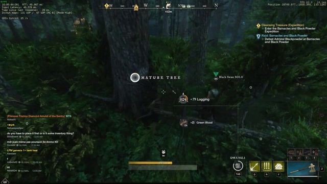 New World 17-08-2022 - Mining/Harvesting/Logging Bot: Black Swan SOLO (Nysa) смотреть онлайн