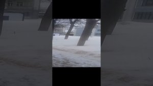 VID_20240308_112126.mp4
