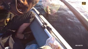 Первый опыт ловли на бортовую удочку. Ловля леща с лодки. Рыбалка на Волге.