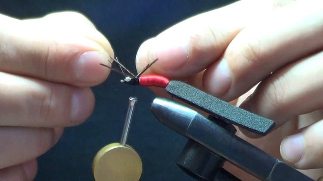 жук с красным брюхом смотреть онлайн