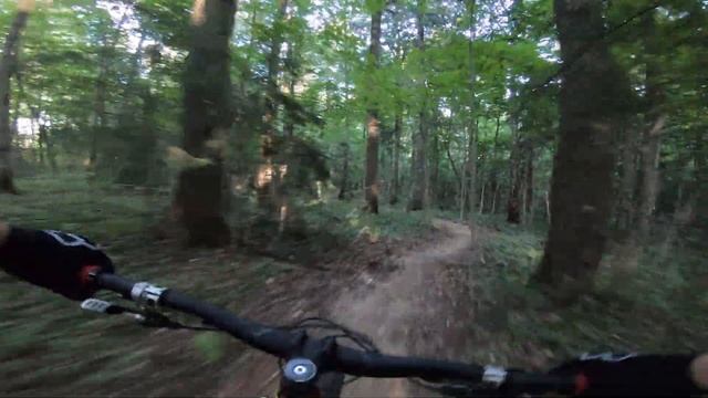 Трейл ЧИП & ДЕЙЛ в Чесс-парке в Бутово смотреть онлайн