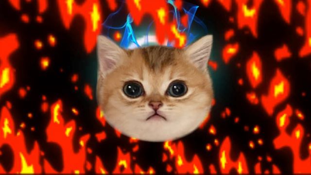 Кит ты маму мав? (Phonk) смотреть онлайн