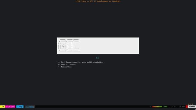 LLVM Clang vs GCC (C development on OpenBSD) смотреть онлайн