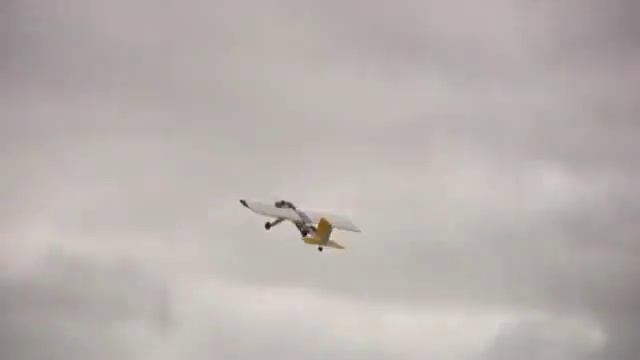 rc model airplanes | Newton Sky King's Annual Large Scale Fun Fly | rc plane смотреть онлайн
