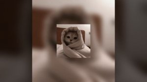 знак бесконечность speed up