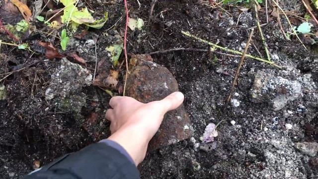 НАШЁЛ МОНЕТЫ, А ТАК ЖЕ ЧЬИ ТО КЛЮЧИ! Коп в лесу! смотреть онлайн