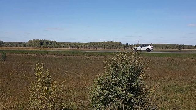 Куракино смотреть онлайн