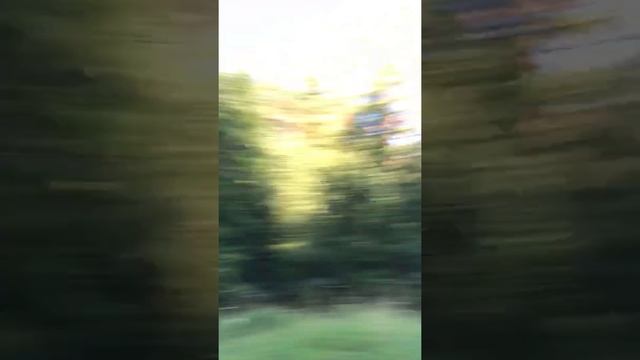 Рыбалка на Валдае. Клевое место. смотреть онлайн