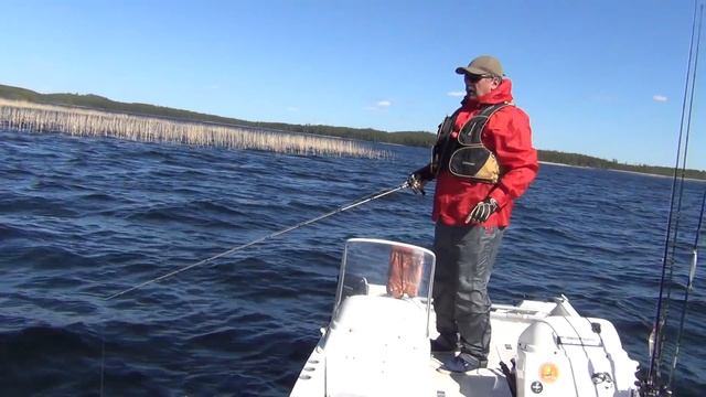 Ловля щуки на спиннинг на ветру. Рыбалка на спиннинг смотреть онлайн