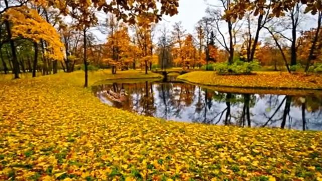 краски осени смотреть онлайн