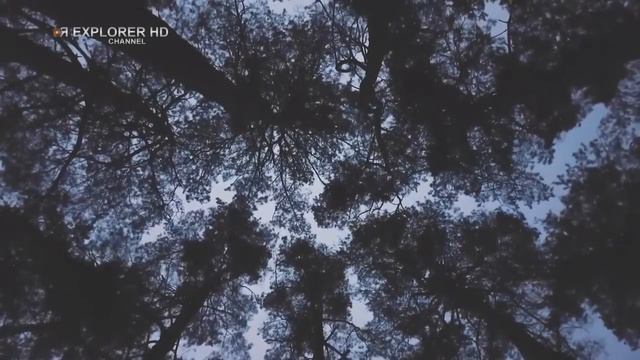 ИСТОРИЯ МАГИИ смотреть онлайн