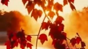 Люди жгут на кострах уходящее лето