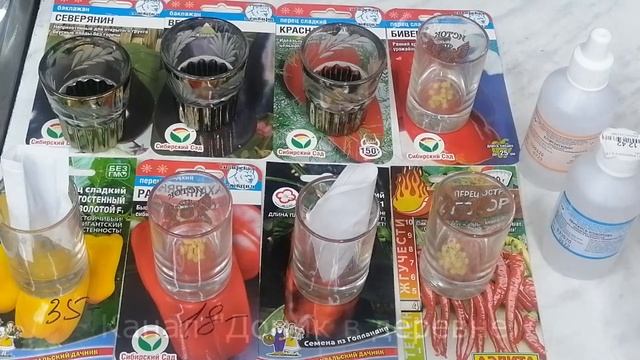 СтройИнсайдер