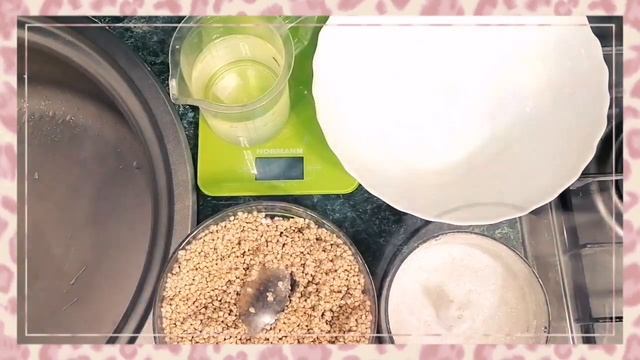 Цирковые Шоу с Трюками и Фокусами