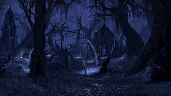 Coldharbour - Dark Forest Fantasy Ambience