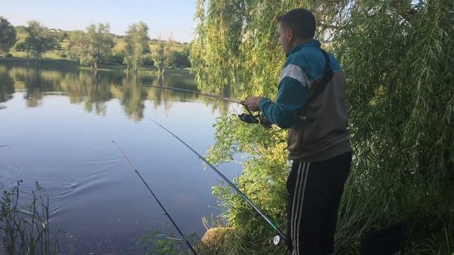 КАРАСИ ЛОМАЮТ УДОЧКИ!! БЕШЕНЫЙ КЛЁВ !! НЕРЕСТ КАРАСЯ!! РЫБАЛКА ВЕСНОЙ!! смотреть онлайн