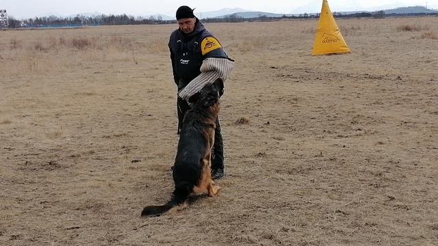 7.  выражено/пож OSTEN STERN VANDERFIL (Team Zilber Wasserfall Bacio – Osten Stern Eva)