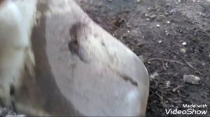 Ауди А4 В5 ремонт и снятие бочка омывателя лобового стекла,фольксваген, ауди, ремонт