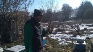 Первый весенний облет пчел. Утепляем улья весной. Подмор пчел. Чистка доньев пос
