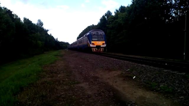 ДР1Б-509/510 с рейсом №653Ф Могилёв-Гомель. смотреть онлайн