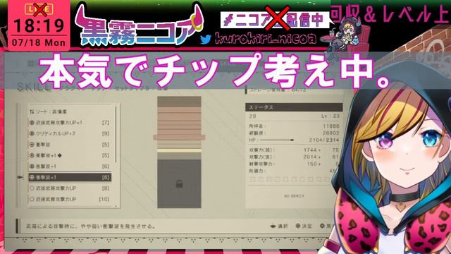 【NieR:Automata】番外編⑤-②レベル上げしてたら奇跡がおきる…！！ニーア オートマタ【黒霧ニコア/垂直落下式XXX】 смотреть онлайн