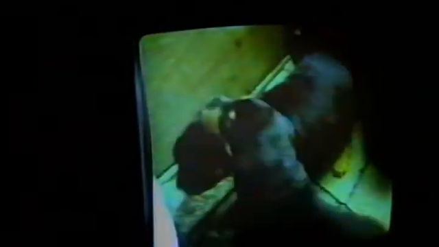 Семинар КСУ. Киев. 1998 год. Эдди Гроттенхайзен. О ротвейлерах. смотреть онлайн