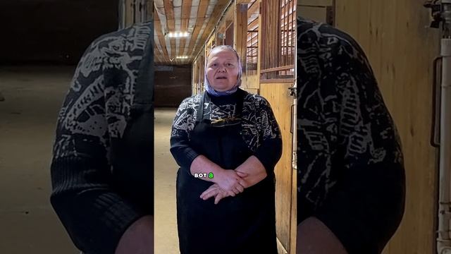 Катание на пони в Подмосковье. Эко-ферма Хутор метель. #экоферма #молочнаяферма #пони смотреть онлайн