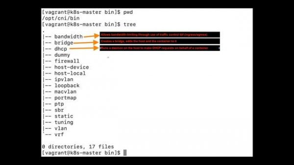 Container Network Interface (CNI) plugins for cluster networking.