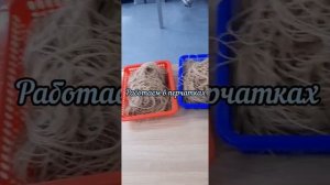 НЕБОЛЬШОЕ ПРОИЗВОДСТВА ЛАПШИ Кукси или Кукса многие говорят по разному......