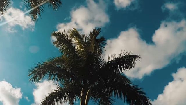 VIDEO TEST SONY A6300 + KIT LENS 16-50mm - Miami смотреть онлайн