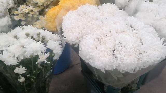 Цветы для букетов часть 2 Обзор на рынке Краснодар смотреть онлайн