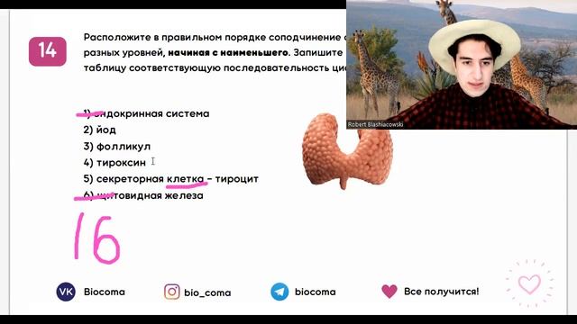 РАЗБОР ВАРИАНТА ФИПИ ПО БИОЛОГИИ 2022 | Biocoma смотреть онлайн