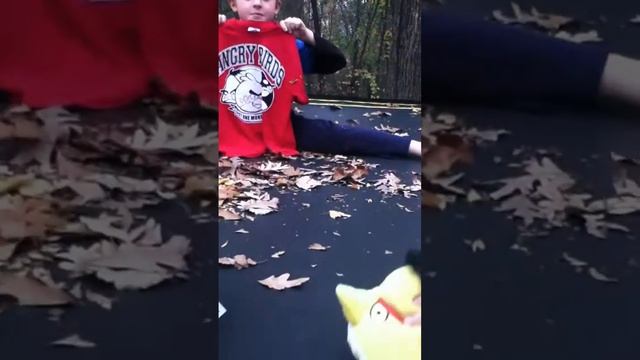 bird nerds смотреть онлайн
