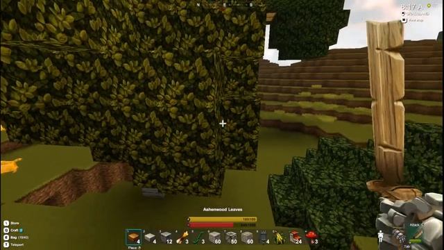 Прохождение игры Creativerse #1 смотреть онлайн