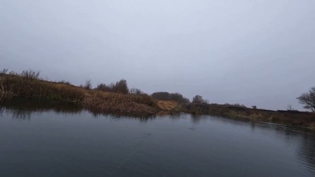 Свимбейты в ноябре. смотреть онлайн